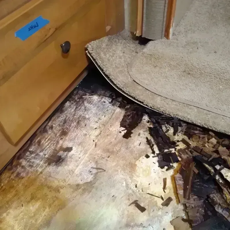 Wood Floor Water Damage in Madison County, NE